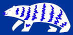 Polarbär weiß mit blauen Streifen
