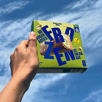 ice cream vegan bars